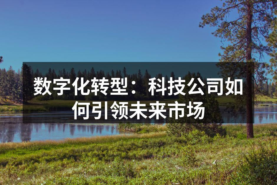 数字化转型：科技公司如何引领未来市场