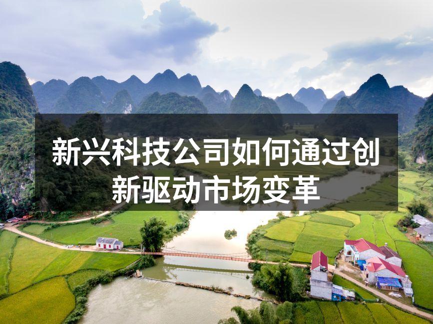 新兴科技公司如何通过创新驱动市场变革